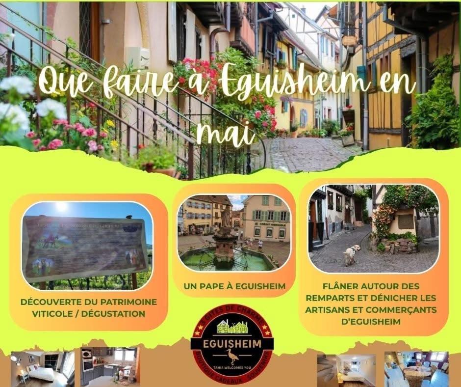 Gite Edelweiss A Eguisheim Kültér fotó