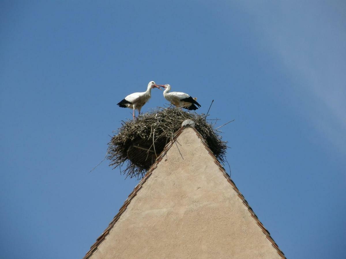 Gite Edelweiss A Eguisheim Kültér fotó