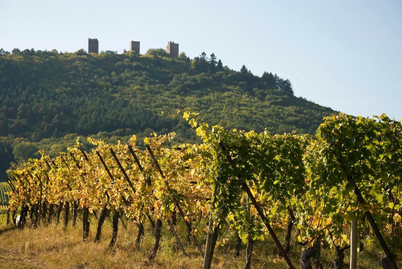 Gite Edelweiss A Eguisheim Kültér fotó