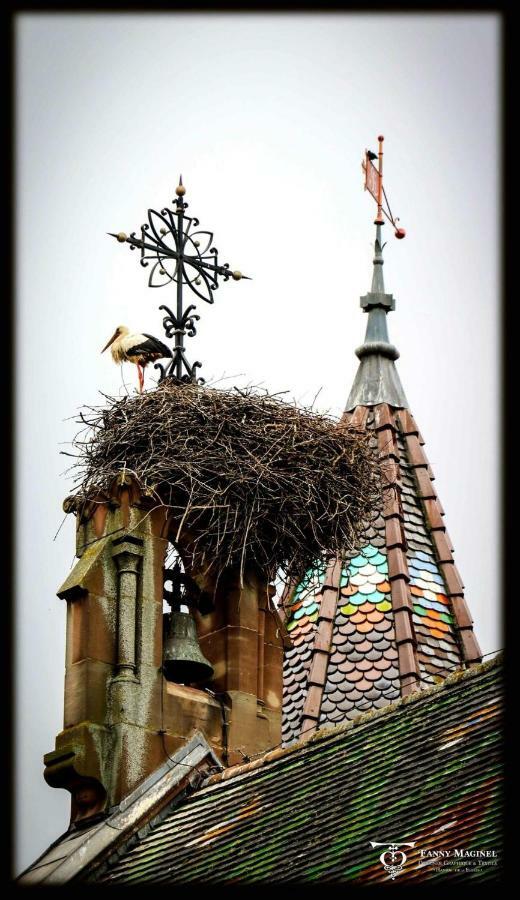 Gite Edelweiss A Eguisheim Kültér fotó